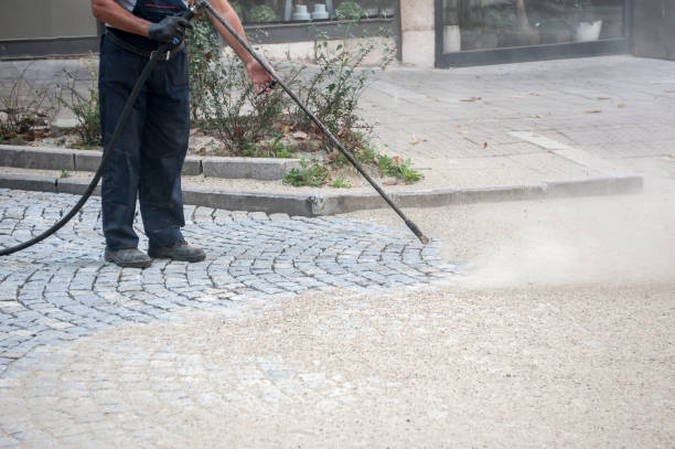 Best Residential Exterior Washing  in Tazewell, TN